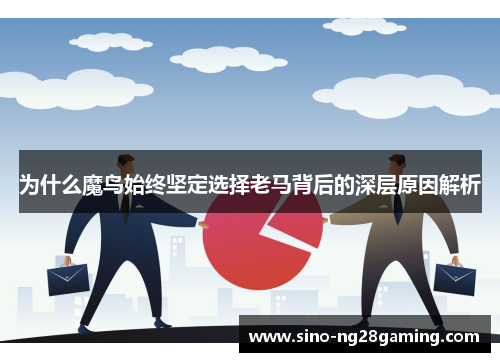 为什么魔鸟始终坚定选择老马背后的深层原因解析