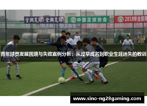 青年球员发展困境与失败案例分析：从过早成名到职业生涯迷失的教训