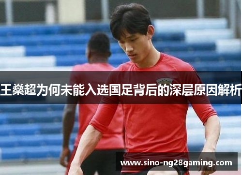 王燊超为何未能入选国足背后的深层原因解析