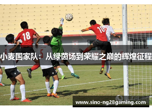 小麦国家队：从绿茵场到荣耀之巅的辉煌征程