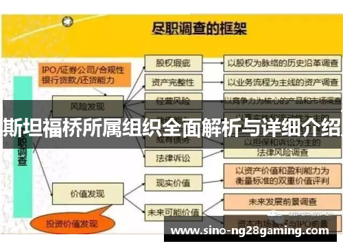 斯坦福桥所属组织全面解析与详细介绍