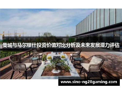 曼城与马尔穆什投资价值对比分析及未来发展潜力评估