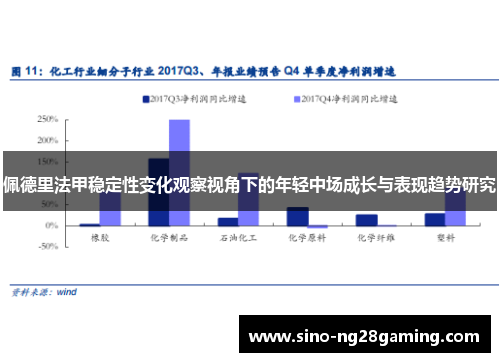佩德里法甲稳定性变化观察视角下的年轻中场成长与表现趋势研究