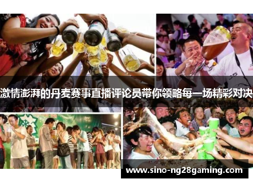 激情澎湃的丹麦赛事直播评论员带你领略每一场精彩对决