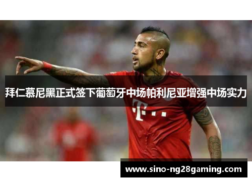 拜仁慕尼黑正式签下葡萄牙中场帕利尼亚增强中场实力